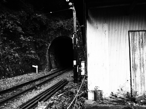 大井川鉄道 神尾駅 & タヌキ達のおしゃべり♪ 大井川鉄道 神尾駅 & タヌキ達のおしゃべり♪
