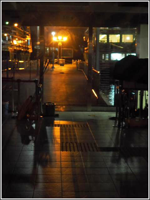 夜の海賊船♪ 箱根芦ノ湖 夜の海賊船♪ 箱根芦ノ湖