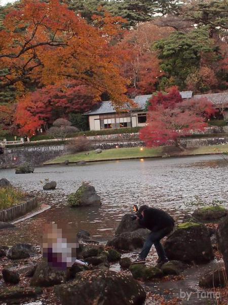 紅葉の日本庭園で浮いてる光景　伊豆修善寺虹の郷