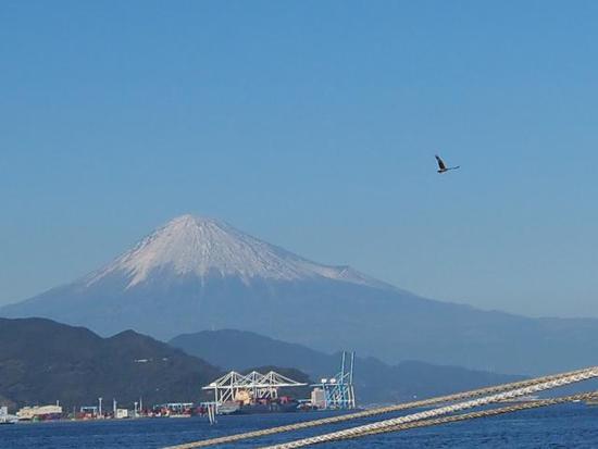 海の貴婦人 海王丸と富士山 セイルドリル(foto 19枚) 清水港 海の貴婦人 海王丸と富士山 セイルドリル(foto 19枚) 清水港