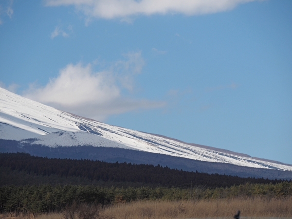 十里木 須山付近からの富士山 十里木 須山付近からの富士山