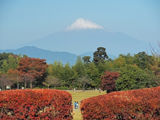富士山が見える　日本平運動公園　
