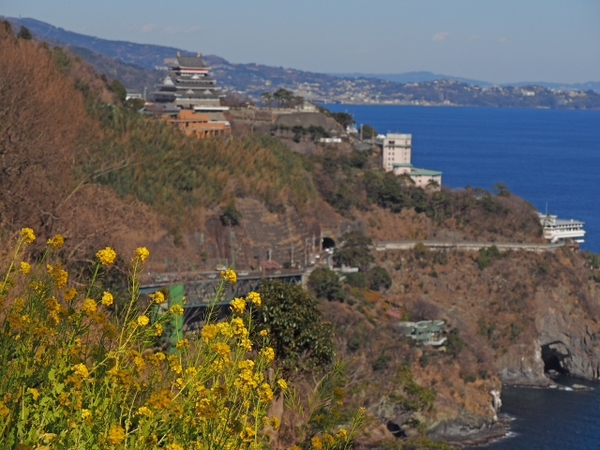 2月2日の園内の様子 あたみ桜は見頃過ぎ ハーブ&ローズガーデン 2月2日の園内の様子 あたみ桜は見頃過ぎ ハーブ&ローズガーデン