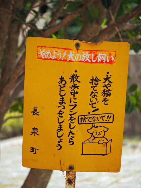 さくら情報③ 駿河平自然公園の様子 3月30日 さくら情報③ 駿河平自然公園の様子 3月30日