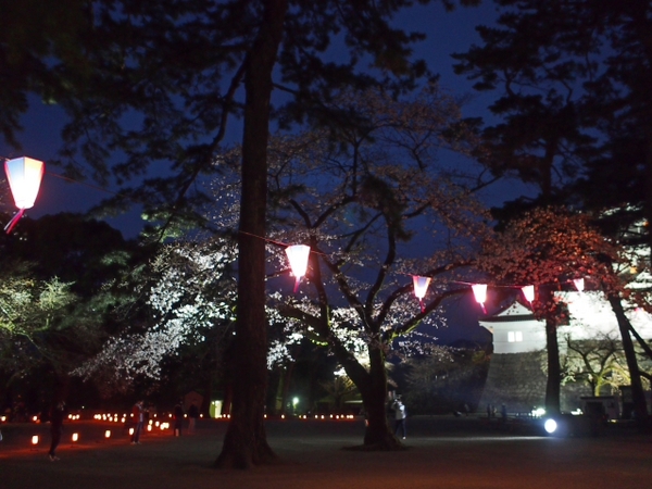 小田原城の桜は? 小田原城の桜は?