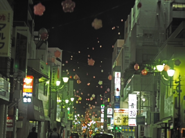 小田原城の桜は? 小田原城の桜は?