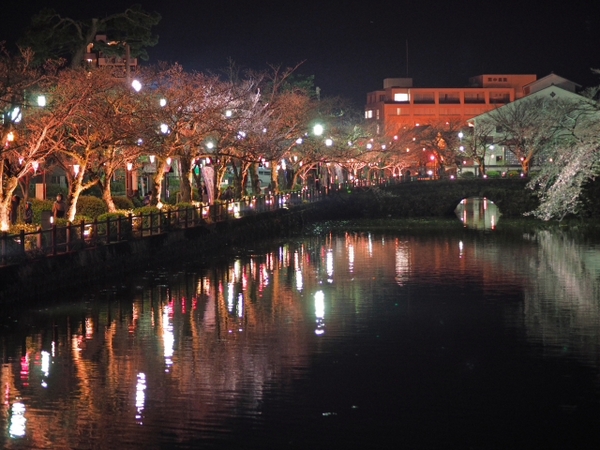 小田原城の桜は? 小田原城の桜は?