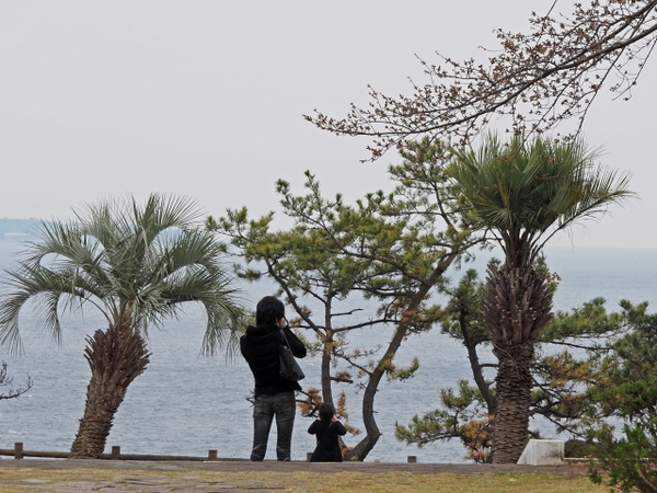 お林展望公園 真鶴半島 お林展望公園 真鶴半島