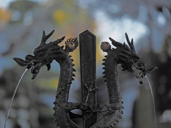 桜並木の参道 お庭 雰囲気のいいお寺だった 光長寺(こうちょうじ) 桜並木の参道 お庭 雰囲気のいいお寺だった 光長寺(こうちょうじ)
