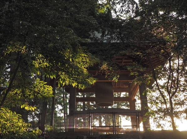 桜並木の参道 お庭 雰囲気のいいお寺だった 光長寺(こうちょうじ) 桜並木の参道 お庭 雰囲気のいいお寺だった 光長寺(こうちょうじ)