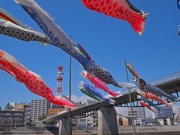 沼津こいのぼりフェスティバル 沼津こいのぼりフェスティバル