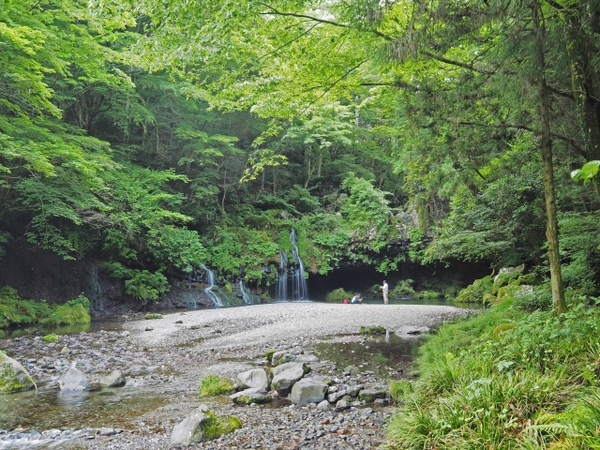 お弁当持って♪ 岩本山ー田貫湖ー陣馬の滝 お弁当持って♪ 岩本山ー田貫湖ー陣馬の滝
