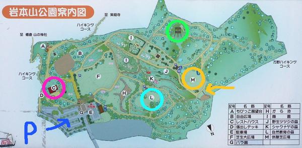 お弁当持って♪ 岩本山ー田貫湖ー陣馬の滝 お弁当持って♪ 岩本山ー田貫湖ー陣馬の滝