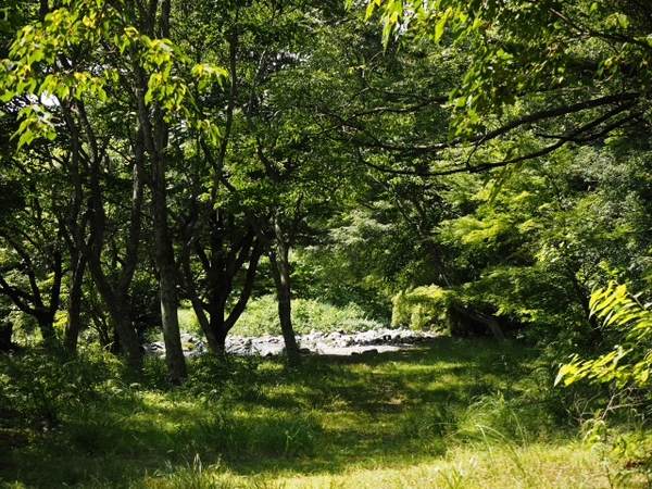 萬城(ばんじょう)の滝 伊豆 滝めぐり NO1 萬城(ばんじょう)の滝 伊豆 滝めぐり NO1