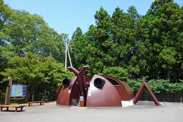 萬城(ばんじょう)の滝 伊豆 滝めぐり NO1 萬城(ばんじょう)の滝 伊豆 滝めぐり NO1