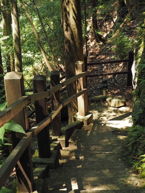 萬城(ばんじょう)の滝 伊豆 滝めぐり NO1 萬城(ばんじょう)の滝 伊豆 滝めぐり NO1