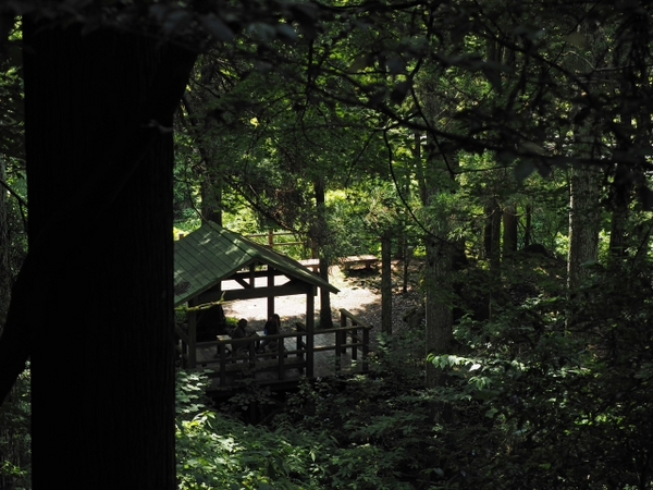 萬城(ばんじょう)の滝 伊豆 滝めぐり NO1 萬城(ばんじょう)の滝 伊豆 滝めぐり NO1