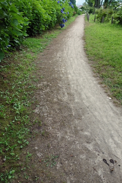 明見湖(あすみこ) 公園・蓮池 富士吉田 明見湖(あすみこ) 公園・蓮池 富士吉田