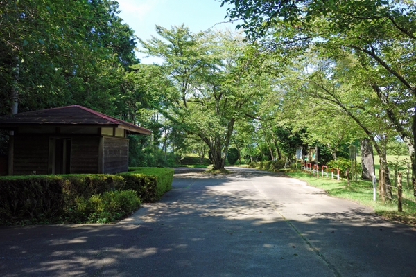 富士山が見える静かな公園 はたご池 富士市 富士山が見える静かな公園 はたご池 富士市