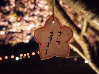 お付き合い下さり ありがとうネ♪