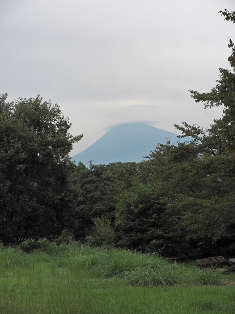 野田山健康緑地公園 大師広場・展望台広場・金丸山広場 野田山健康緑地公園 大師広場・展望台広場・金丸山広場