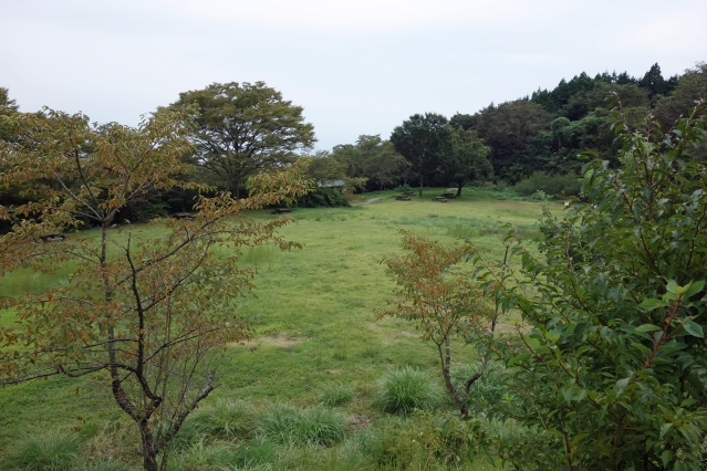 野田山健康緑地公園 大師広場・展望台広場・金丸山広場 野田山健康緑地公園 大師広場・展望台広場・金丸山広場
