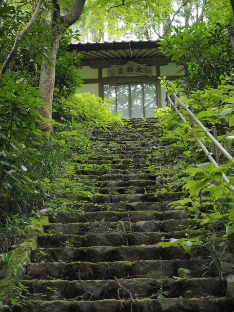 野田山健康緑地公園 大師広場・展望台広場・金丸山広場 野田山健康緑地公園 大師広場・展望台広場・金丸山広場