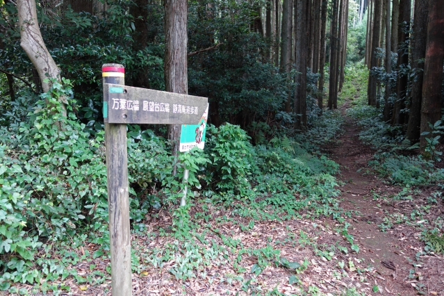 野田山健康緑地公園 大師広場・展望台広場・金丸山広場 野田山健康緑地公園 大師広場・展望台広場・金丸山広場