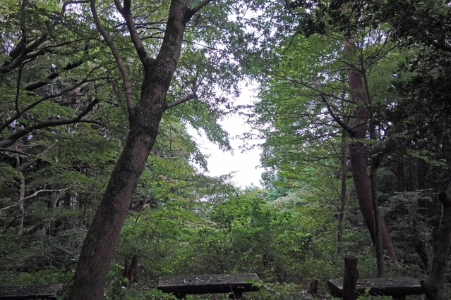 野田山健康緑地公園 大師広場・展望台広場・金丸山広場 野田山健康緑地公園 大師広場・展望台広場・金丸山広場