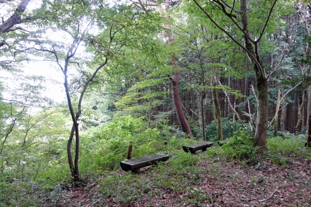 野田山健康緑地公園 大師広場・展望台広場・金丸山広場 野田山健康緑地公園 大師広場・展望台広場・金丸山広場