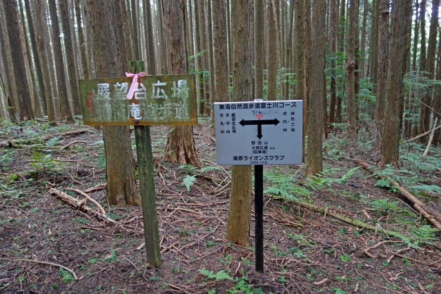 野田山健康緑地公園 大師広場・展望台広場・金丸山広場 野田山健康緑地公園 大師広場・展望台広場・金丸山広場