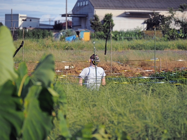 あやしい人影・・・・・ あやしい人影・・・・・