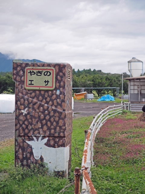 松下牧場 朝霧高原 松下牧場 朝霧高原