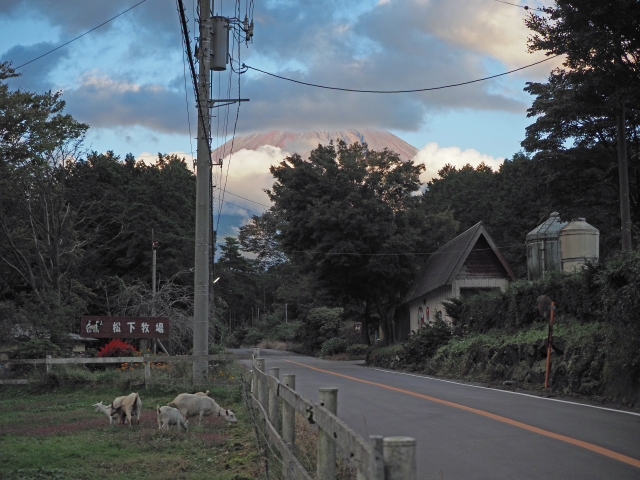 松下牧場 朝霧高原 松下牧場 朝霧高原