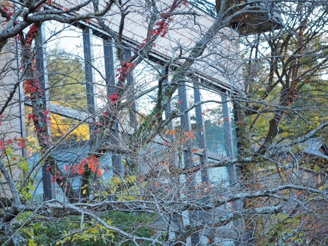 万葉公園駐車場前からの風景 紅葉 万葉公園駐車場前からの風景 紅葉