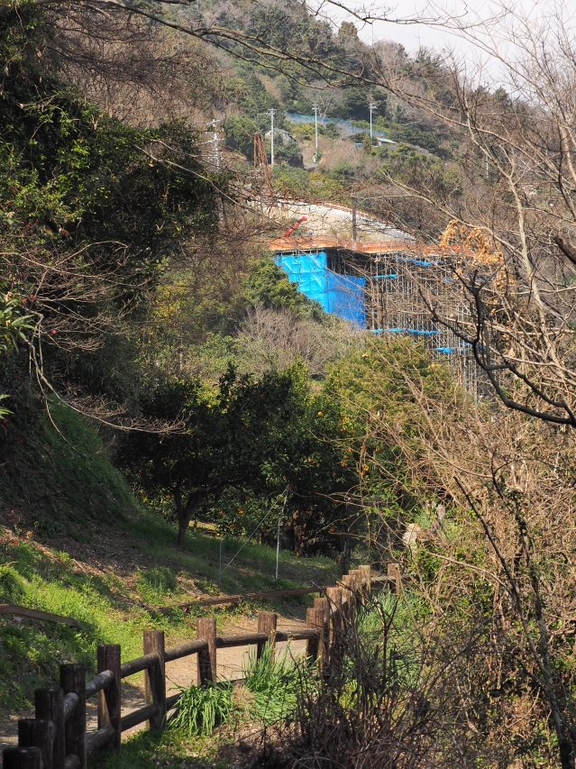 さった峠の春 2018 さった峠の春 2018