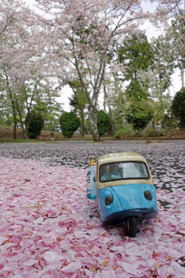 桜は見頃を過ぎていたけれど・・・・・ 富士市の公園 桜は見頃を過ぎていたけれど・・・・・ 富士市の公園