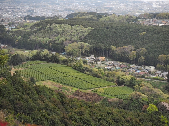 明星山公園の春 2018 明星山公園の春 2018