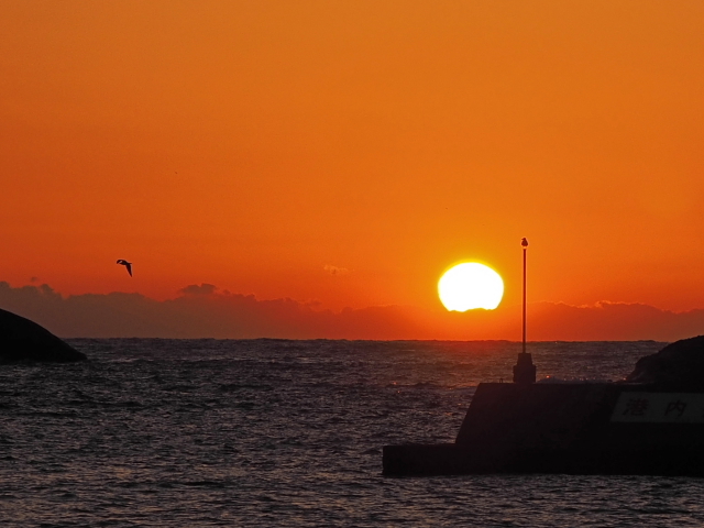 西伊豆の夕日はやっぱりきれいだな~ ん?なんかいる!! 西伊豆の夕日はやっぱりきれいだな~ ん?なんかいる!!