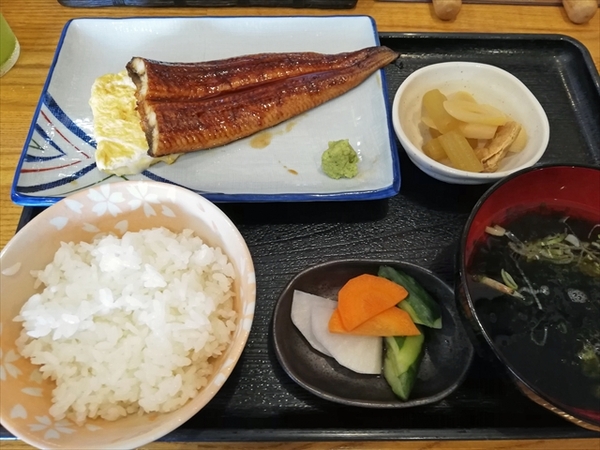 うなぎのかば焼きとワサビがいい ごはん屋さくら うなぎのかば焼きとワサビがいい ごはん屋さくら