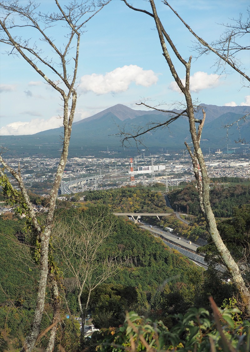 明星山公園　2022　紅葉　富士山展望台