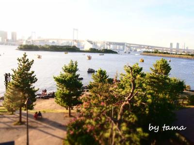 気になる公園♪ お台場