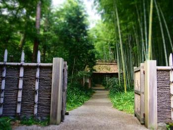 期待しないで~♪ 御殿場の甘味処・・・・・