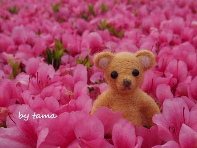 いつか 逢える・・・・・