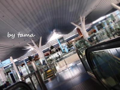おススメ 羽田空港~♪