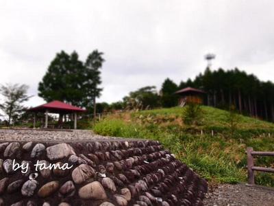 川根おススメスポット教えちゃいます♪ 朝日段公園~!!動画あり