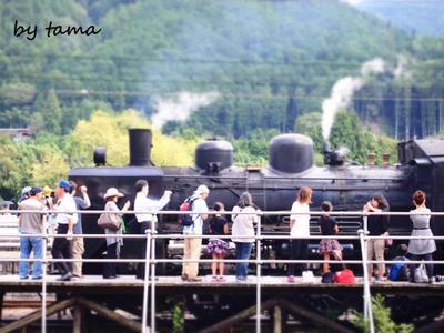 見物人の風景♪ 千頭駅にて SLフェスタ
