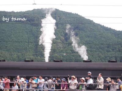 見物人の風景♪ 千頭駅にて SLフェスタ