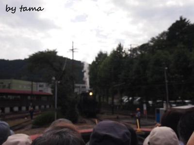 見物人の風景♪ 千頭駅にて SLフェスタ