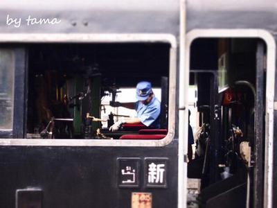 がんばる大井川鉄道のSL♪ SLフェスタ